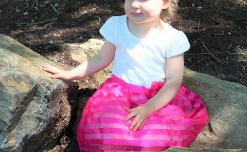 Family Photography- Girl in pink Dress
